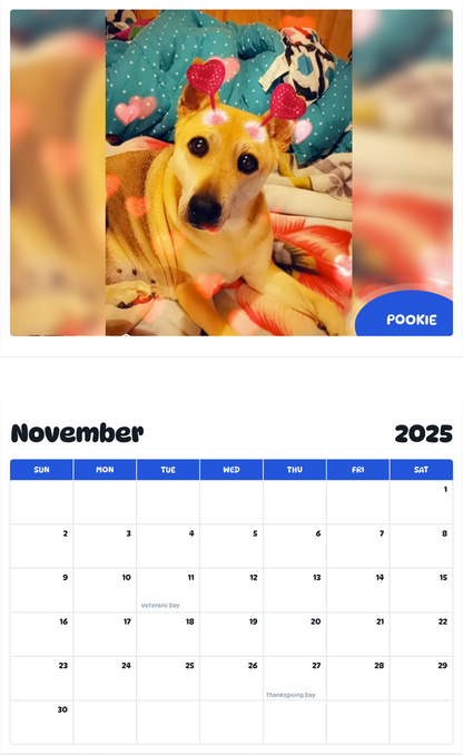 July 2025 - June 2026 Pookie - Pawidols Pet Calendar