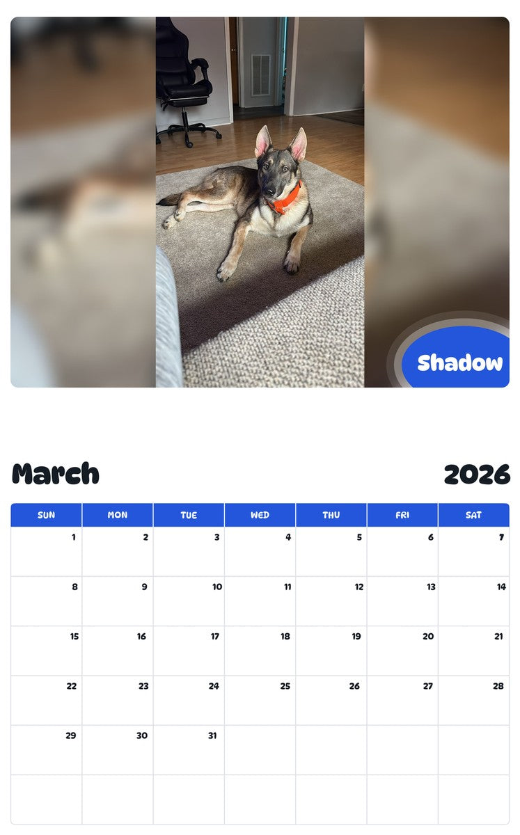 November 2025 - October 2026 Shadow - Pawidols Pet Calendar