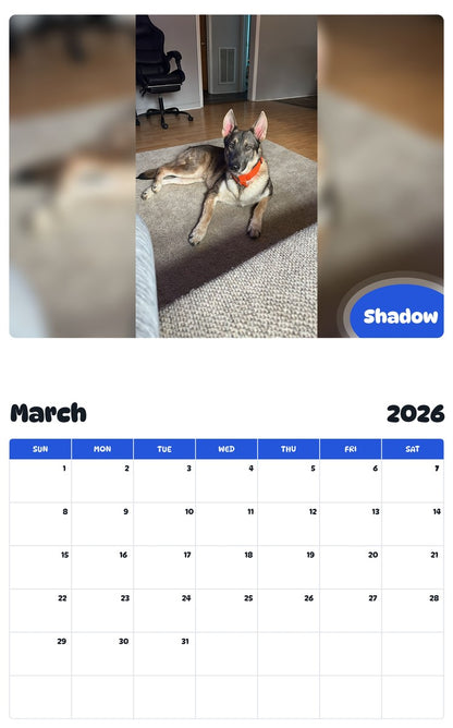 November 2025 - October 2026 Shadow - Pawidols Pet Calendar