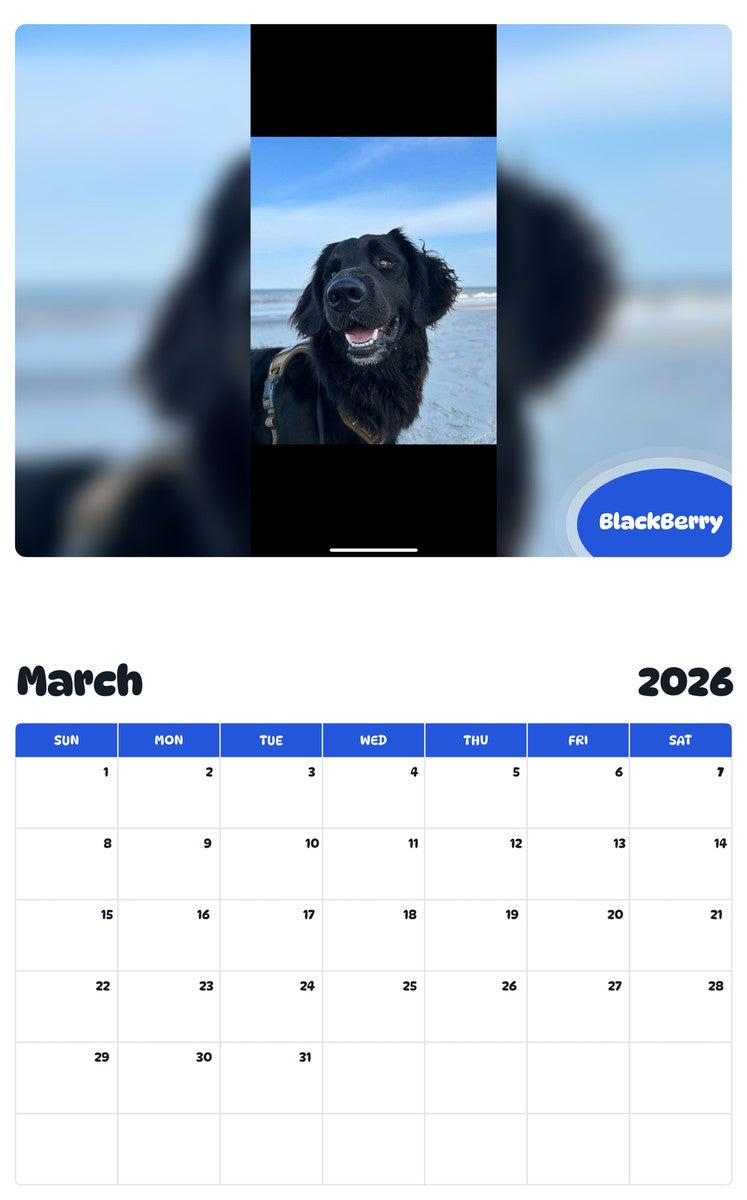 November 2025 - October 2026 BlackBerry - Pawidols Pet Calendar