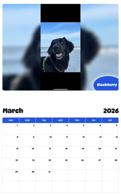November 2025 - October 2026 BlackBerry - Pawidols Pet Calendar