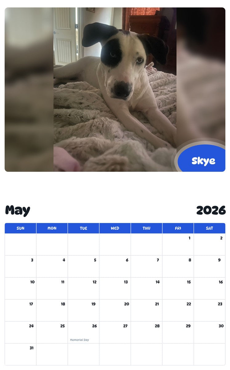 2026 - 2027 Skye - Pawidols Pet Calendar