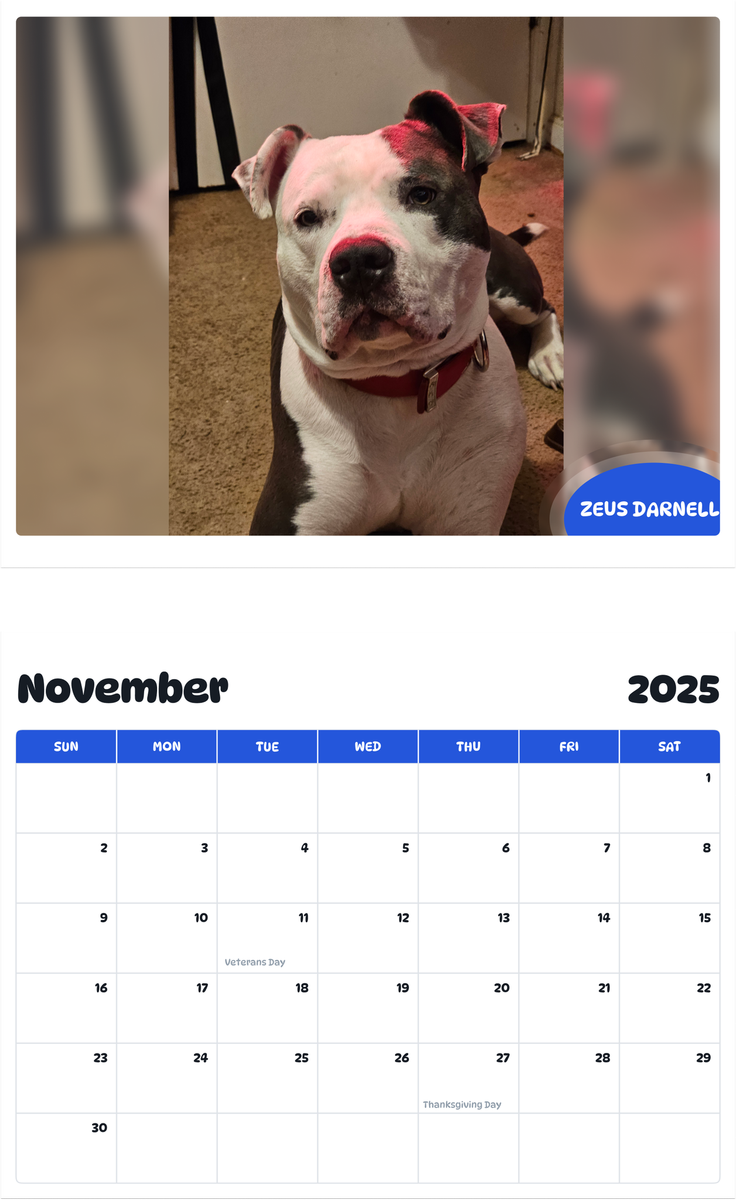 July 2025 - June 2026 Zeus Darnell - Pawidols Pet Calendar