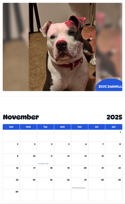 July 2025 - June 2026 Zeus Darnell - Pawidols Pet Calendar