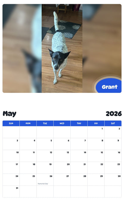 2026 - 2027 Grant - Pawidols Pet Calendar