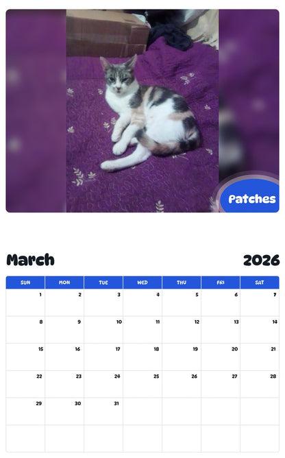 November 2025 - October 2026 Patches - Pawidols Pet Calendar