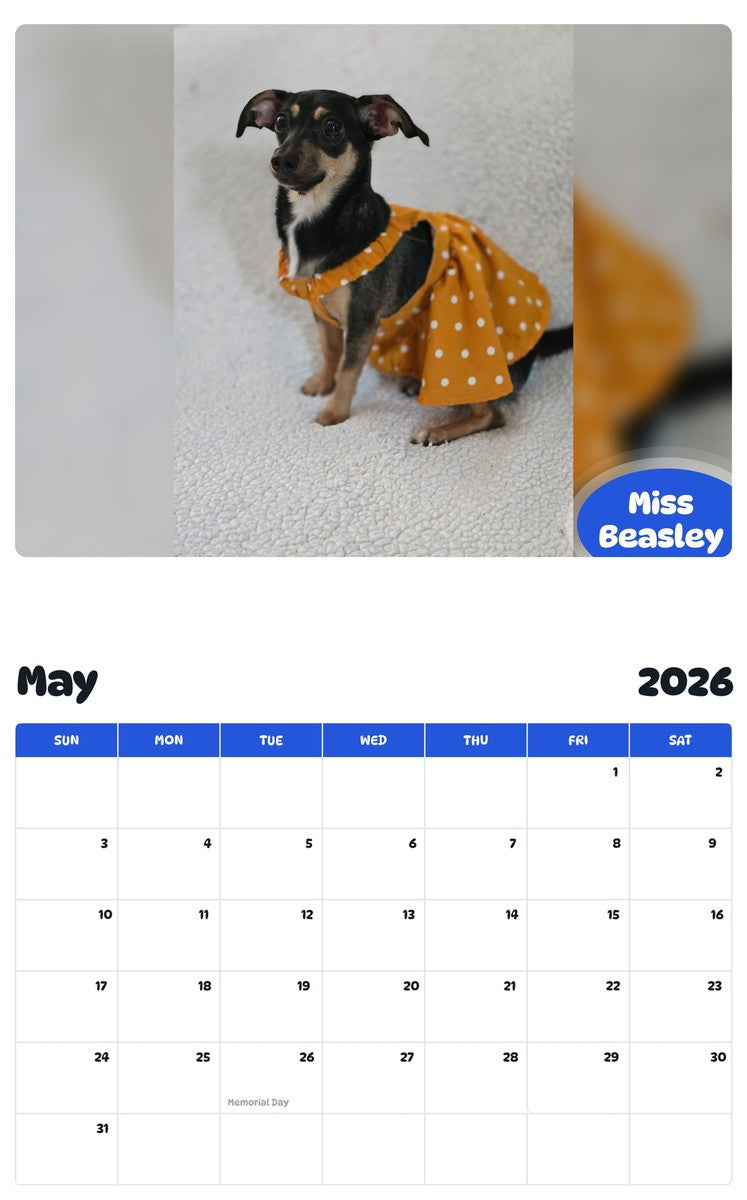 2026 - 2027 Miss Beasley - Pawidols Pet Calendar