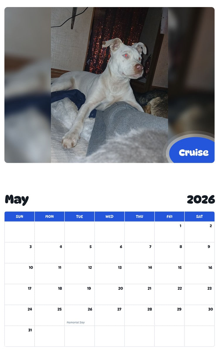 2026 - 2027 Cruise - Pawidols Pet Calendar