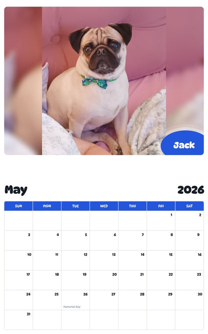 2026 - 2027 Jack - Pawidols Pet Calendar