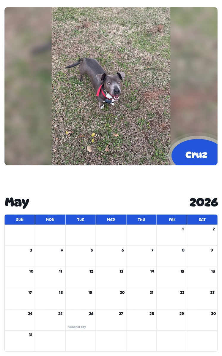 2026 - 2027 Cruz - Pawidols Pet Calendar