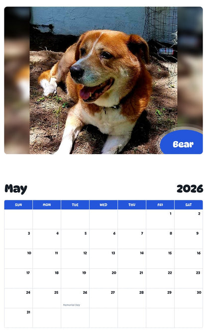 2026 - 2027 Bear - Pawidols Pet Calendar