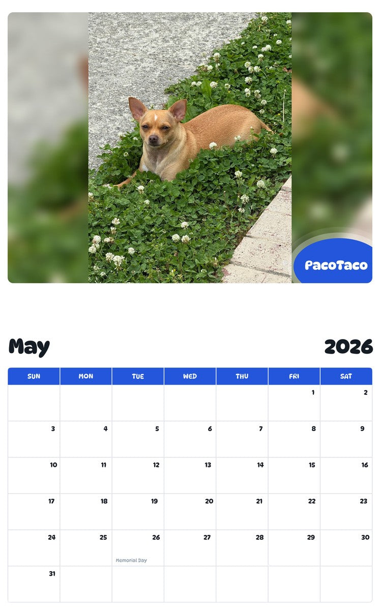 2026 - 2027 PacoTaco - Pawidols Pet Calendar