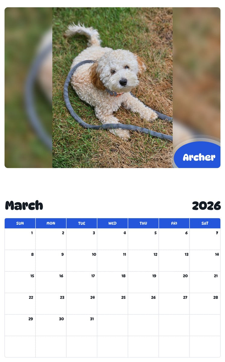 November 2025 - October 2026 Archer - Pawidols Pet Calendar