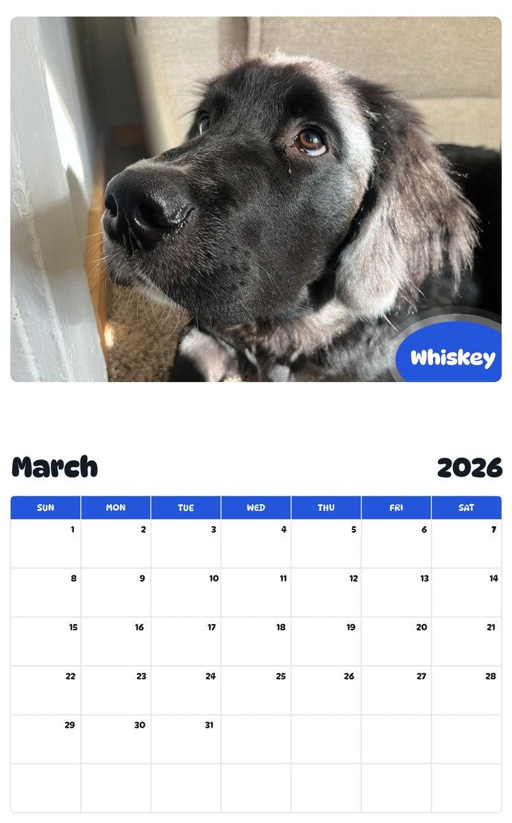November 2025 - October 2026 Whiskey - Pawidols Pet Calendar