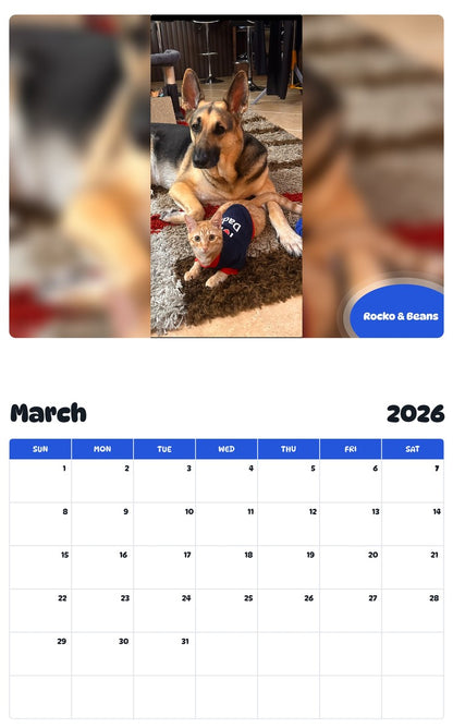 November 2025 - October 2026 Rocko & Beans - Pawidols Pet Calendar