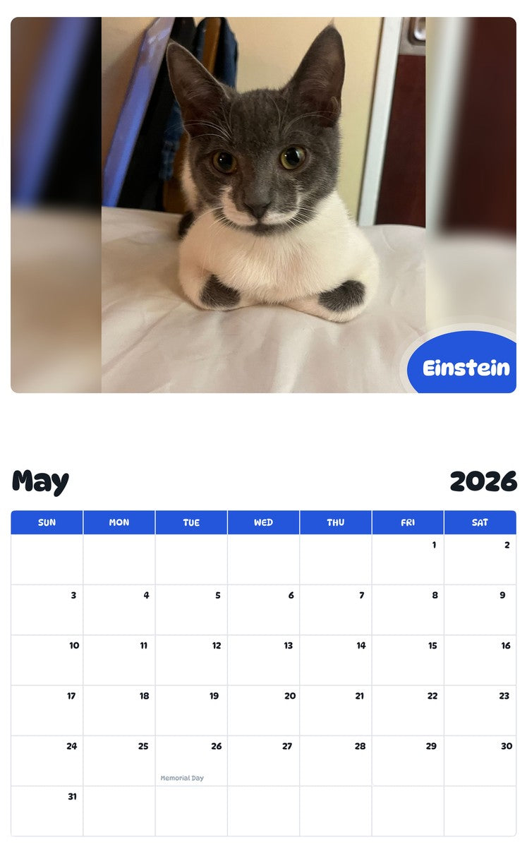 2026 - 2027 Einstein - Pawidols Pet Calendar