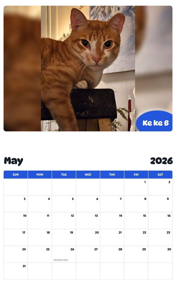 2026 - 2027 Ke ke B - Pawidols Pet Calendar