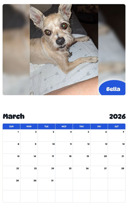 November 2025 - October 2026 Bella - Pawidols Pet Calendar