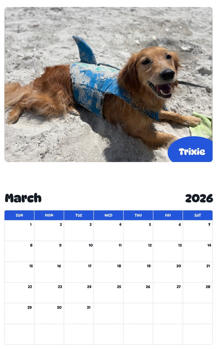 November 2025 - October 2026 Trixie - Pawidols Pet Calendar