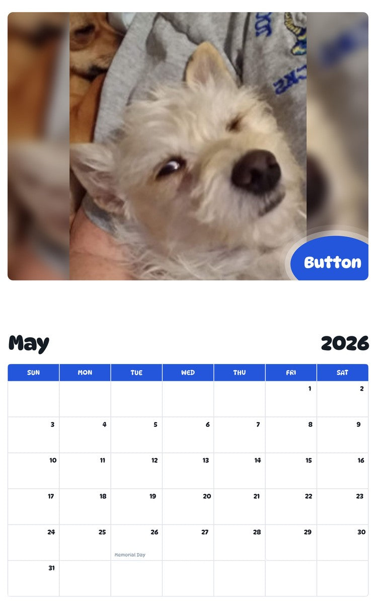 2026 - 2027 Button - Pawidols Pet Calendar