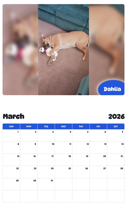 November 2025 - October 2026 Dahlia - Pawidols Pet Calendar