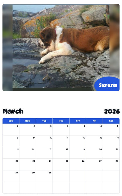 November 2025 - October 2026 Serena - Pawidols Pet Calendar