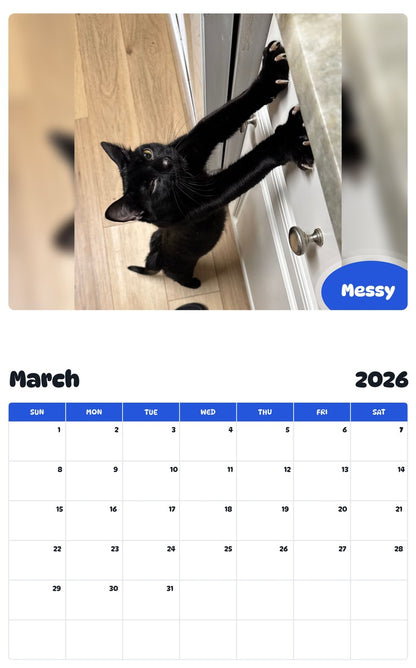 November 2025 - October 2026 Messy - Pawidols Pet Calendar