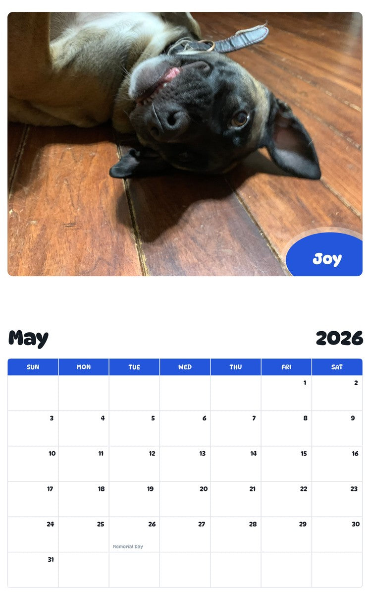 2026 - 2027 Joy - Pawidols Pet Calendar
