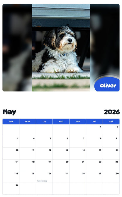 2026 - 2027 Oliver - Pawidols Pet Calendar