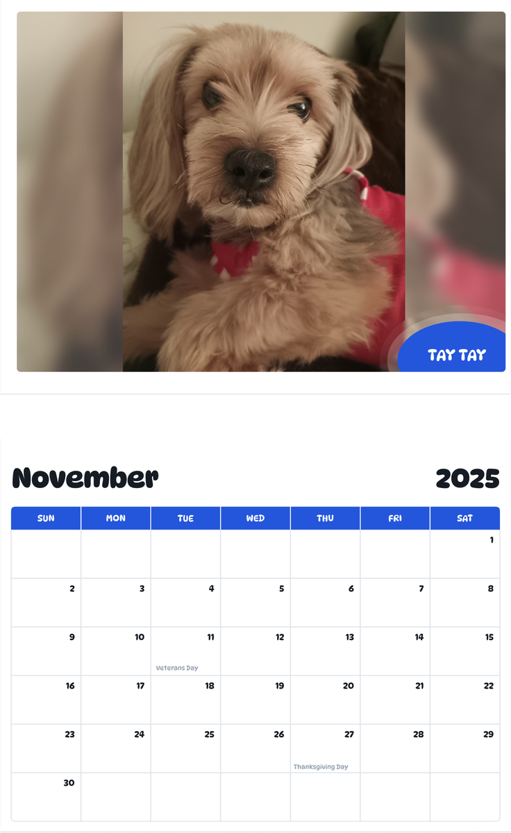 July 2025 - June 2026 Tay Tay - Pawidols Pet Calendar