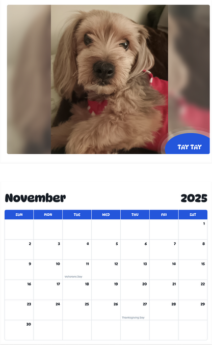 July 2025 - June 2026 Tay Tay - Pawidols Pet Calendar
