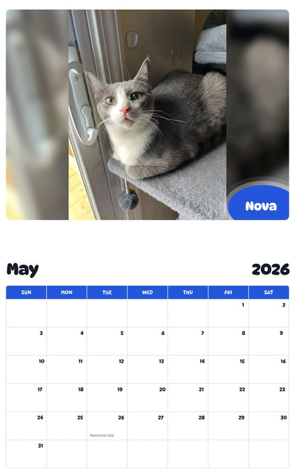 2026 - 2027 Nova - Pawidols Pet Calendar