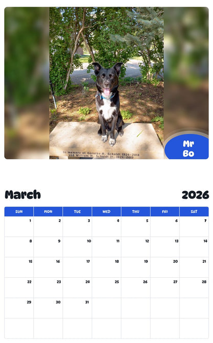November 2025 - October 2026 Mr Bo - Pawidols Pet Calendar