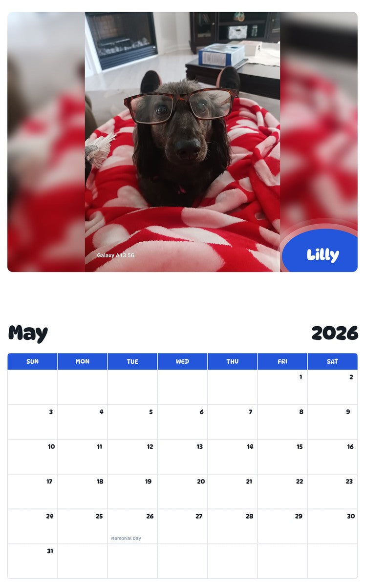 2026 - 2027 Lilly - Pawidols Pet Calendar