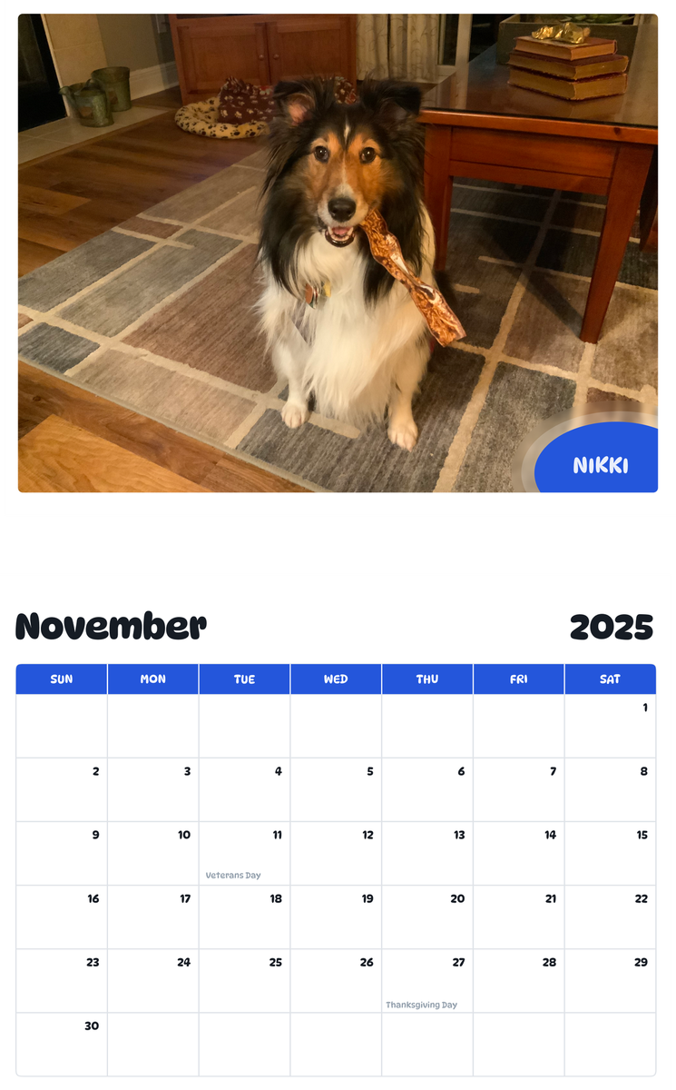 July 2025 - June 2026 Nikki - Pawidols Pet Calendar