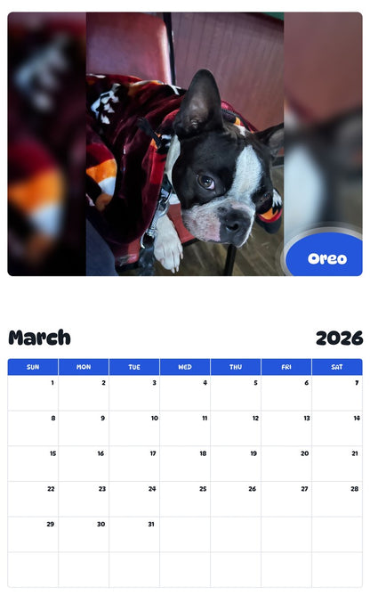 November 2025 - October 2026 Oreo - Pawidols Pet Calendar