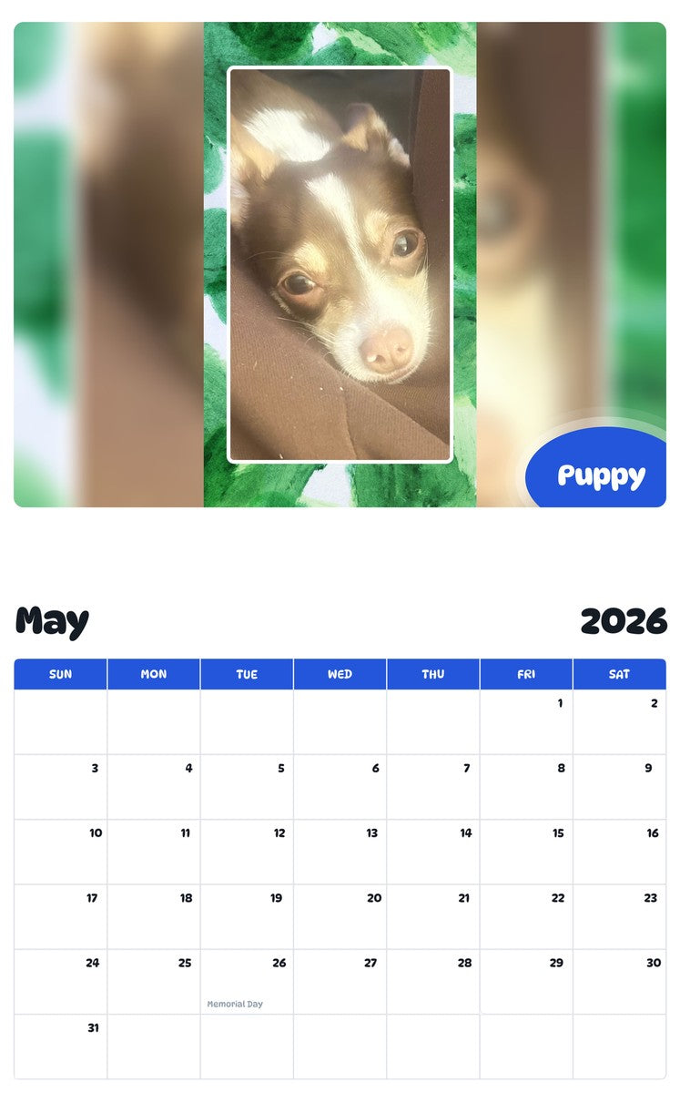 2026 - 2027 Puppy - Pawidols Pet Calendar