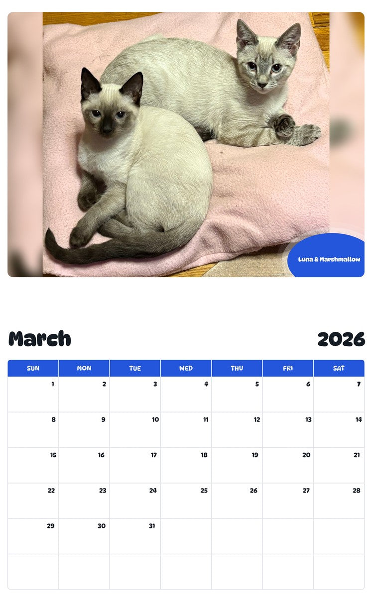 November 2025 - October 2026 Luna & Marshmallow - Pawidols Pet Calendar