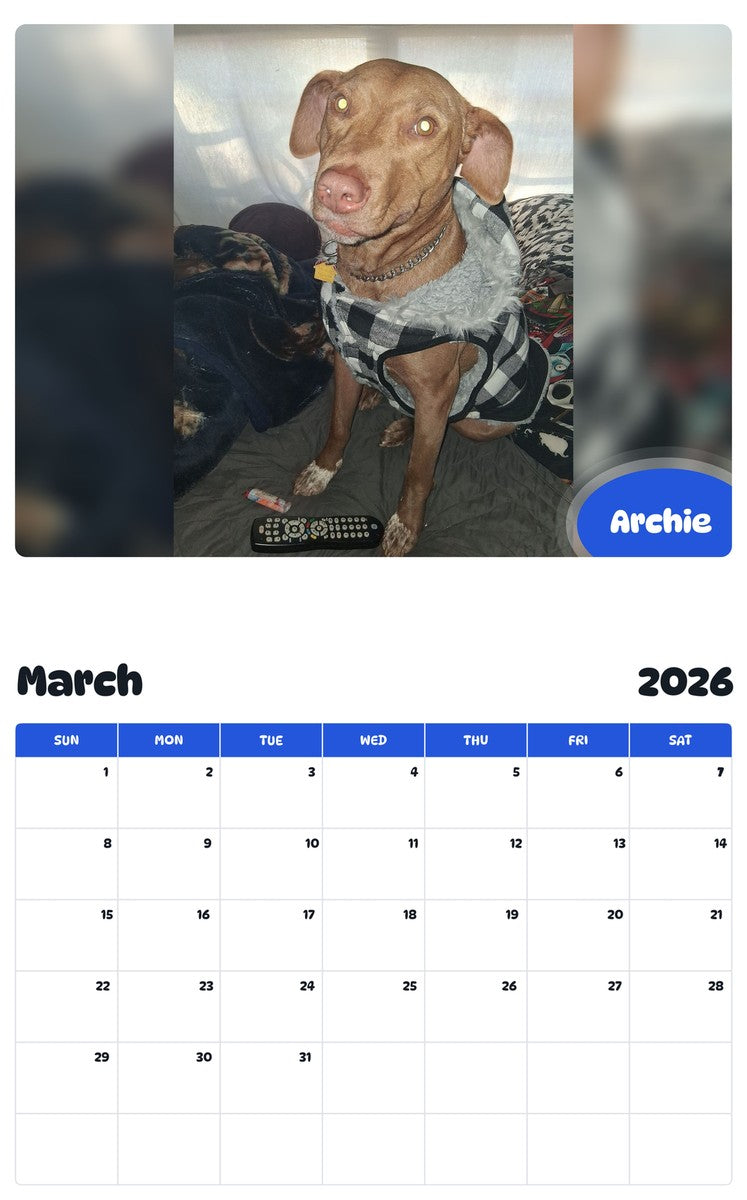 November 2025 - October 2026 Archie - Pawidols Pet Calendar
