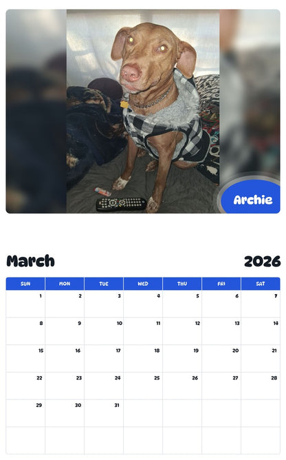 November 2025 - October 2026 Archie - Pawidols Pet Calendar