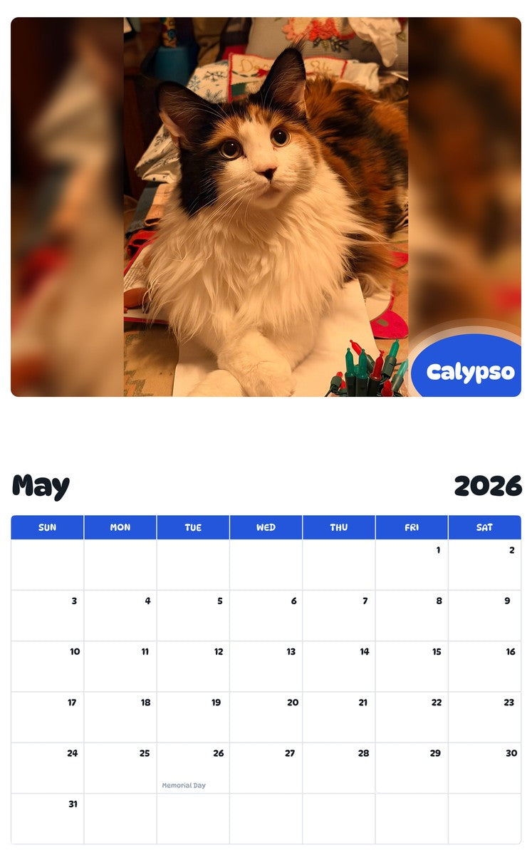 2026 - 2027 Calypso - Pawidols Pet Calendar