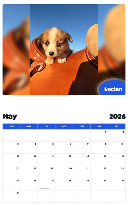 2026 - 2027 Lucian - Pawidols Pet Calendar