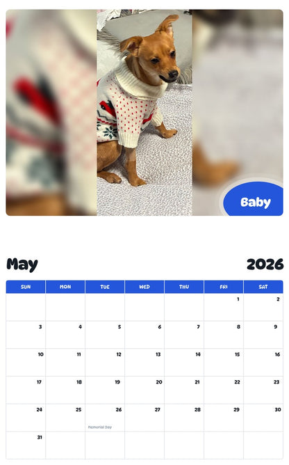 2026 - 2027 Baby - Pawidols Pet Calendar
