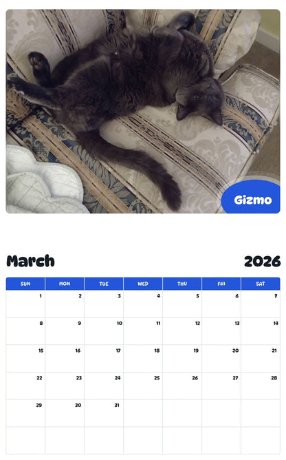 November 2025 - October 2026 Gizmo - Pawidols Pet Calendar