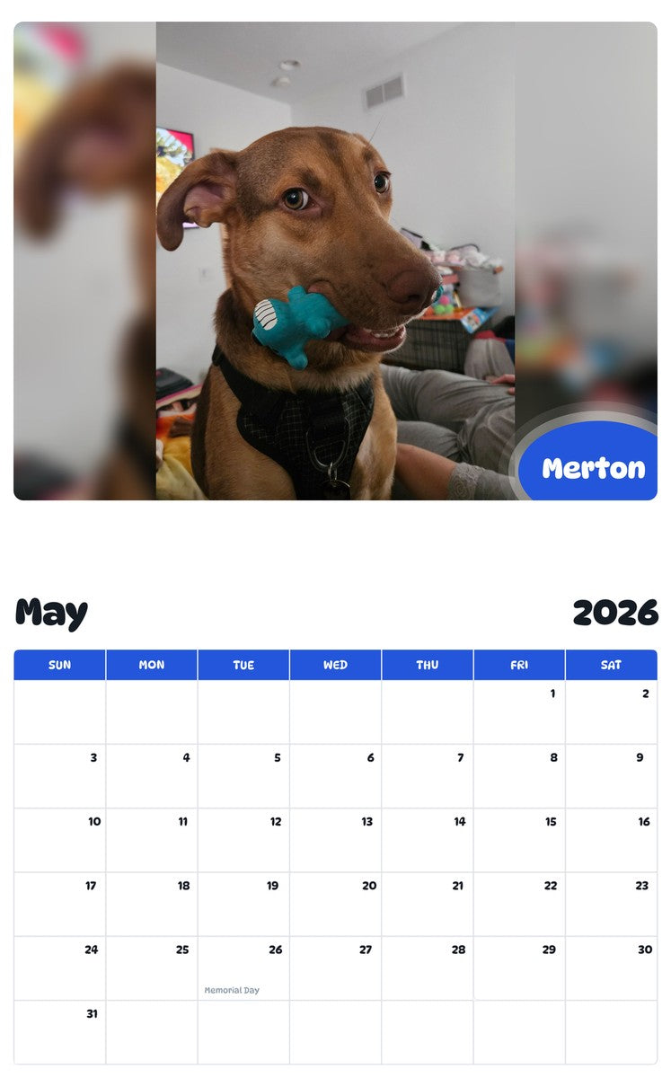 2026 - 2027 Merton - Pawidols Pet Calendar