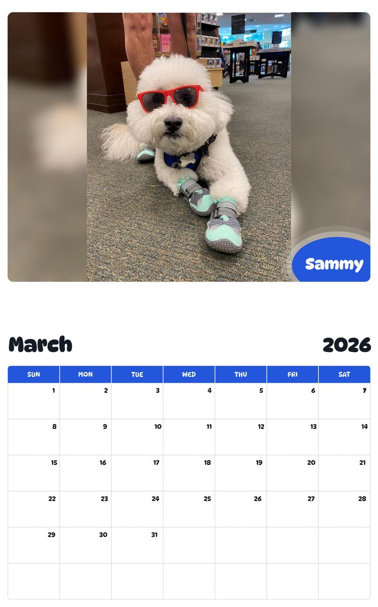 November 2025 - October 2026 Sammy - Pawidols Pet Calendar