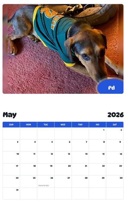 2026 - 2027 Pd - Pawidols Pet Calendar