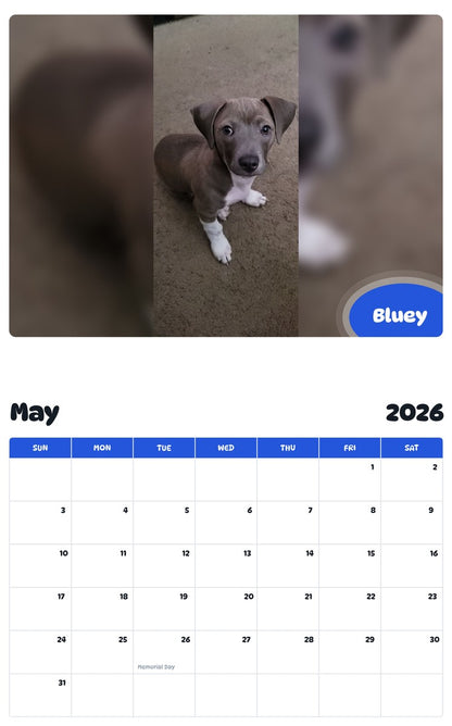 2026 - 2027 Bluey - Pawidols Pet Calendar