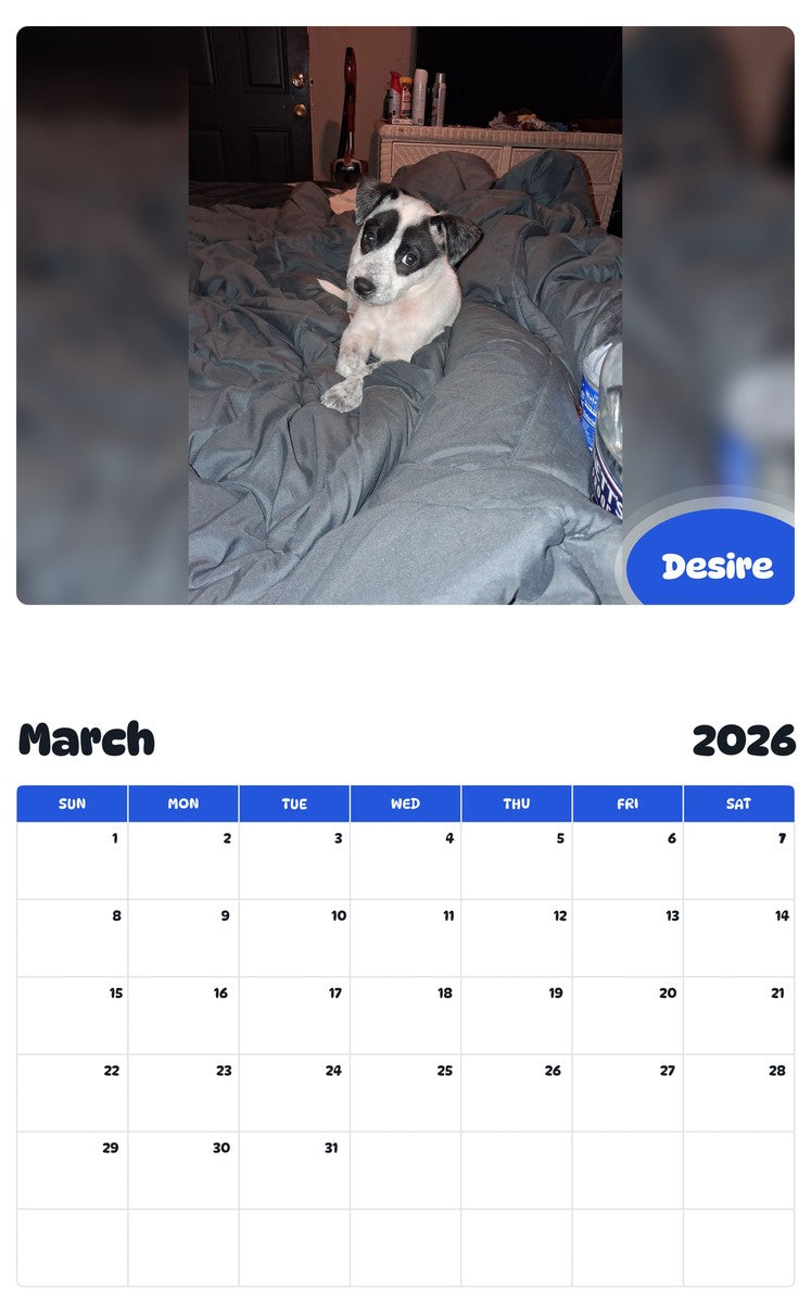 November 2025 - October 2026 Desire - Pawidols Pet Calendar