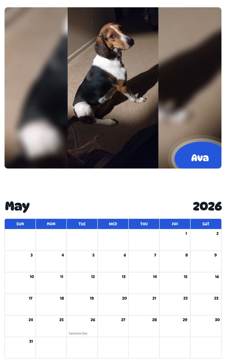 2026 - 2027 Ava - Pawidols Pet Calendar